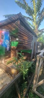 (Category: ) located in . Submitted by selimipeun58076 (Listing ID 1404970947, Image 1). Description: .