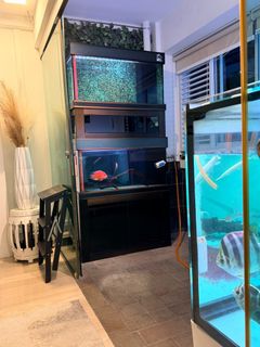(Category: ) located in . Submitted by ahleep (Listing ID 1405079417, Image 1). Description: .