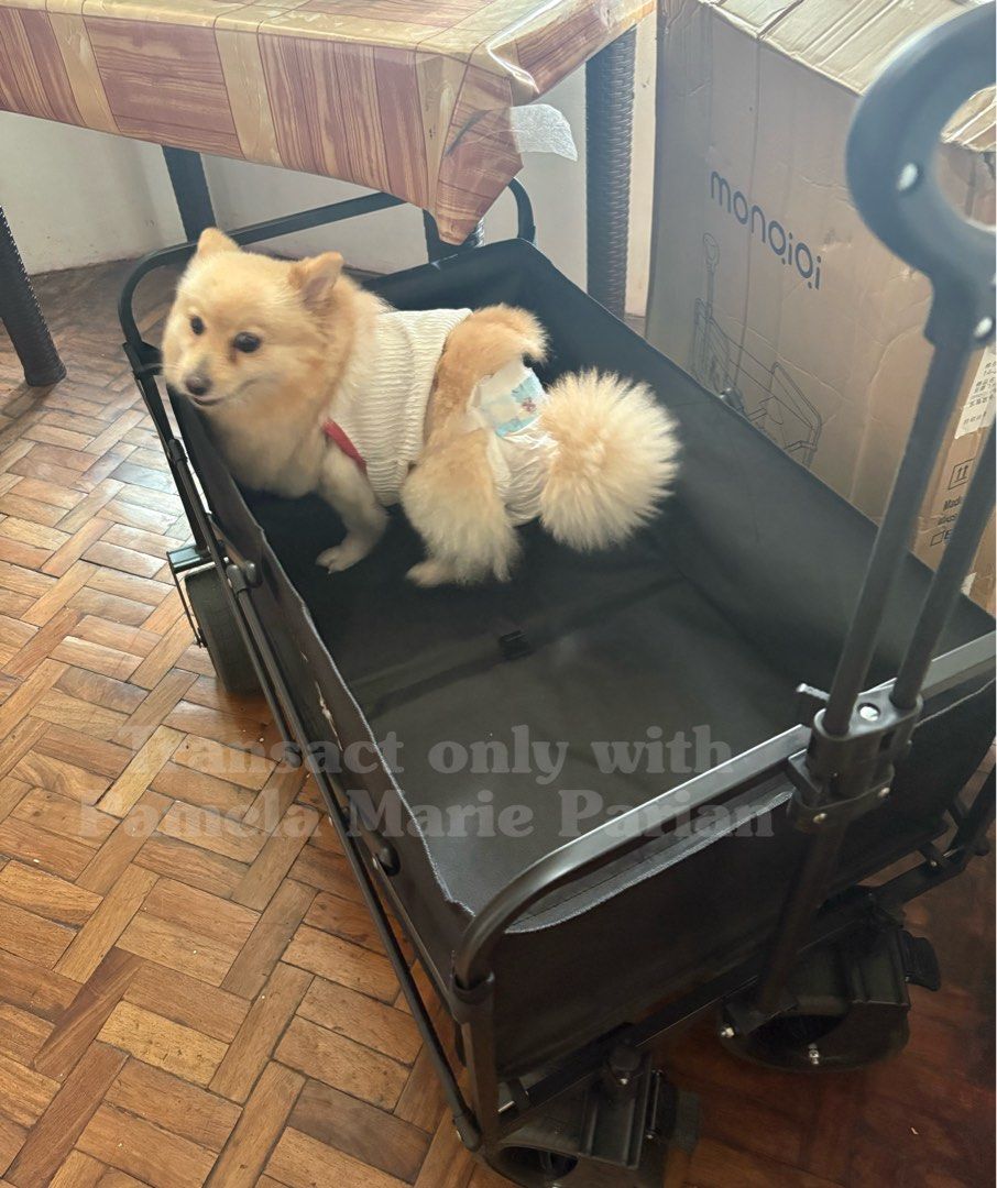 FlashFish Folding Wagon (Category: Strollers) located in Las Pinas. Submitted by phamyyy15 (Listing ID 1405046485, Image 3). Description: - New folding wagon - Black color - Includes wheels - Features a handle for pulling - Comes with a tent and accessories - Ideal for outdoor use and transporting goods.