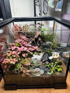 (Category: ) located in . Submitted by edison-7531 (Listing ID 1405134789, Image 1). Description: .