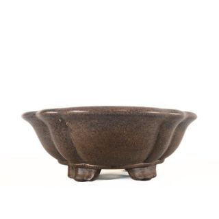 (Category: ) located in . Submitted by bonsai_inc (Listing ID 1404984250, Image 1). Description: .