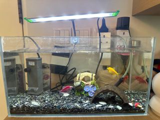 (Category: ) located in . Submitted by treasures111 (Listing ID 1401747542, Image 1). Description: .