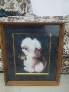 (Category: ) located in . Submitted by jflshoppe1989 (Listing ID 1401834064, Image 1). Description: .