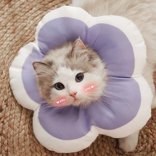 （分類：）位於 。 由 .great.day. 提交（商品編號 1405232258，圖片 1）。簡介： 。