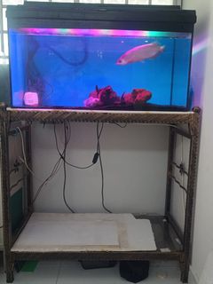 (Category: ) located in . Submitted by vinnn. (Listing ID 1405254261, Image 1). Description: .