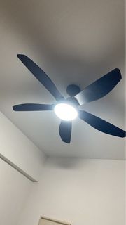 (Category: ) located in . Submitted by satyendra (Listing ID 1405163010, Image 1). Description: .