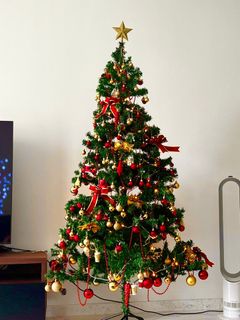 (Category: ) located in . Submitted by mj-lau (Listing ID 1404708556, Image 1). Description: .