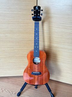（分類：）位於 。 由 bkpl91107 提交（商品編號 1405179554，圖片 1）。簡介： 。