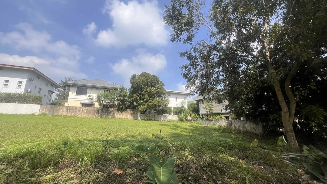 (Category: ) located in . Submitted by marifilramirez (Listing ID 1405412606, Image 1). Description: .