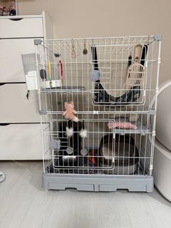 （分類：）位於 。 由 cherryisawesome 提交（商品編號 1405445239，圖片 1）。簡介： 。