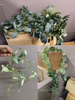 （分類：）位於 。 由 greenstarclub 提交（商品編號 1405595682，圖片 1）。簡介： 。