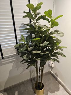 (Category: ) located in . Submitted by fir347 (Listing ID 1405533049, Image 1). Description: .