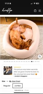 (Category: ) located in . Submitted by burnteggtoast (Listing ID 1405621225, Image 1). Description: .