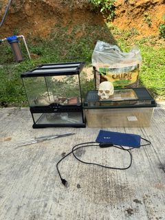(Category: ) located in . Submitted by dinierobson (Listing ID 1405625051, Image 1). Description: .