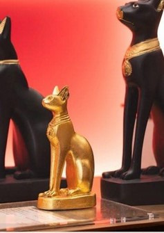 （分類：）位於 。 由 bbchampagne 提交（商品編號 1405562041，圖片 1）。簡介： 。