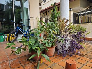 (Category: ) located in . Submitted by dianne80 (Listing ID 1405605840, Image 1). Description: .