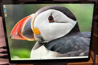 （分類：）位於 。 由 skdingding 提交（商品編號 1405808359，圖片 1）。簡介： 。