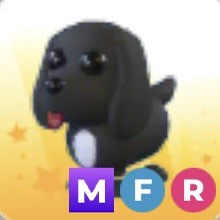 (Category: ) located in . Submitted by skyplaysro88511 (Listing ID 1405830588, Image 1). Description: .