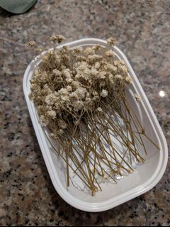 (Category: ) located in . Submitted by cerealmalt (Listing ID 1405853315, Image 1). Description: .