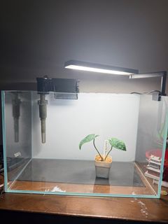 (Category: ) located in . Submitted by brandonliang (Listing ID 1405754864, Image 1). Description: .
