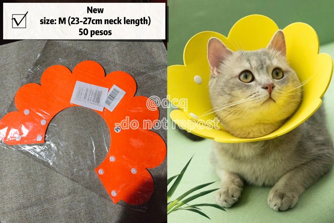 Pet Cone - Size M (23-27cm) (Category: Homes & Other Pet Accessories) located in Quezon City. Submitted by Declutteru_QC (Listing ID 1405725890, Image 1). Description: - Pet cone size M - Fits neck sizes 23-27cm - Stylish orange flower design - Prevents pets from licking or biting wounds - Price: ₱50.