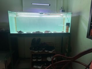 (Category: ) located in . Submitted by clydeboy (Listing ID 1405825556, Image 1). Description: .