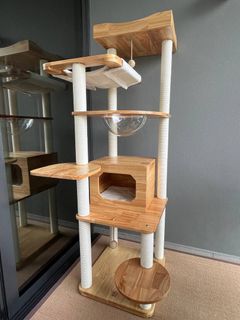 (Category: ) located in . Submitted by themaker21 (Listing ID 1405723508, Image 1). Description: .