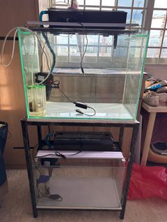 (Category: ) located in . Submitted by colala11 (Listing ID 1406004493, Image 1). Description: .