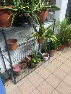 (Category: ) located in . Submitted by salnew (Listing ID 1406039202, Image 1). Description: .