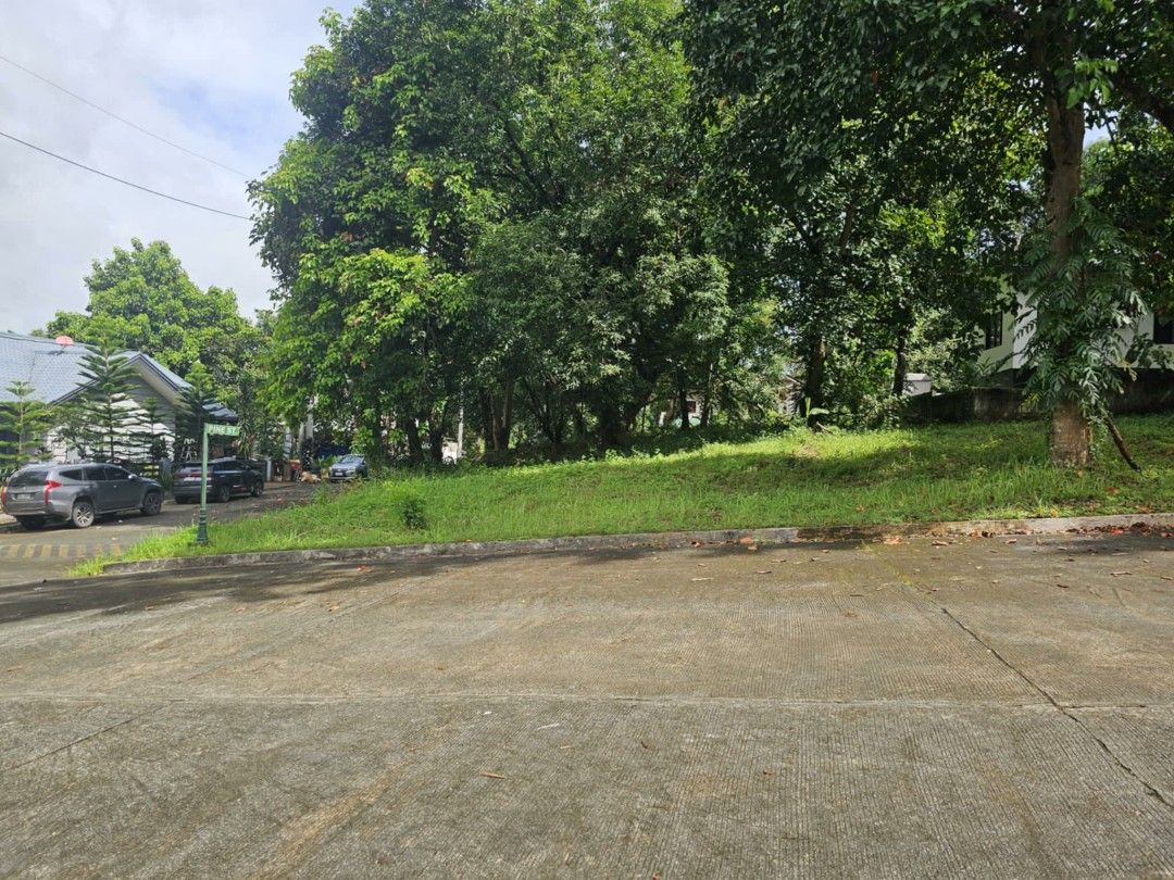 Rush lot for sale (Category: Lot) located in Caloocan City. Submitted by annesalas858799 (Listing ID 1405915812, Image 3). Description: 397 sqm phase 1 corner lot flat area clean title near gate near club house.