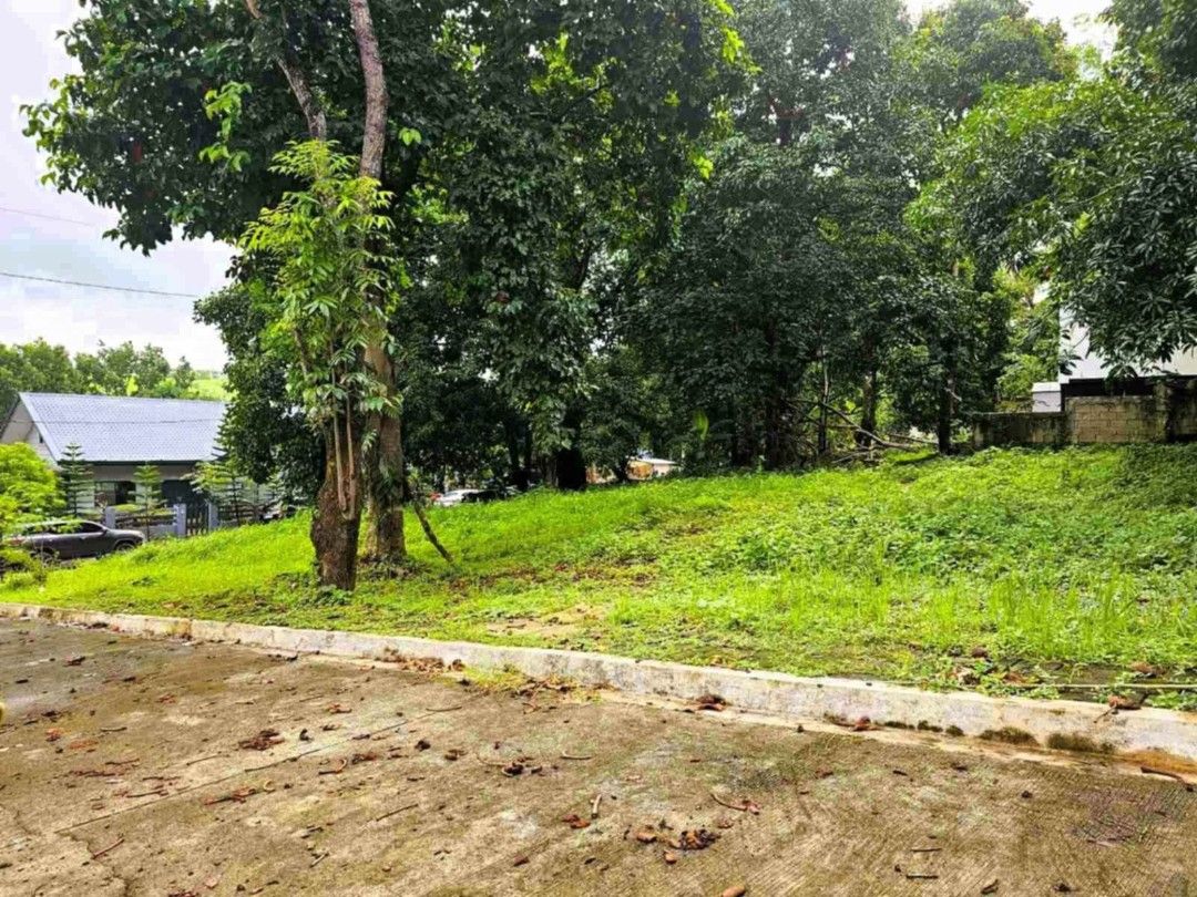 Rush lot for sale (Category: Lot) located in Caloocan City. Submitted by annesalas858799 (Listing ID 1405915812, Image 2). Description: 397 sqm phase 1 corner lot flat area clean title near gate near club house.