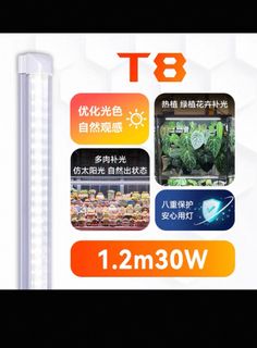 （分類：）位於 。 由 gratiasagovos 提交（商品編號 1405981068，圖片 1）。簡介： 。