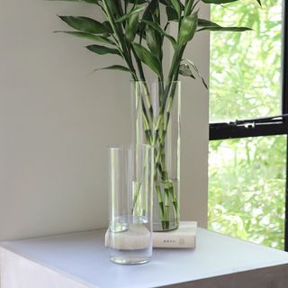 （分類：）位於 。 由 la_renee_la 提交（商品編號 1406159986，圖片 1）。簡介： 。