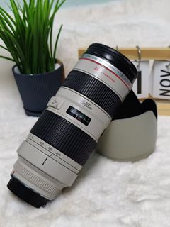 (Category: ) located in . Submitted by mr.photography (Listing ID 1406196318, Image 1). Description: .