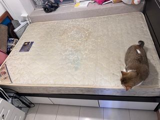 （分類：）位於 。 由 marylam129 提交（商品編號 1406406886，圖片 1）。簡介： 。