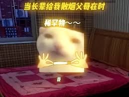 （分類：）位於 。 由 biobuyer 提交（商品編號 1406412266，圖片 1）。簡介： 。