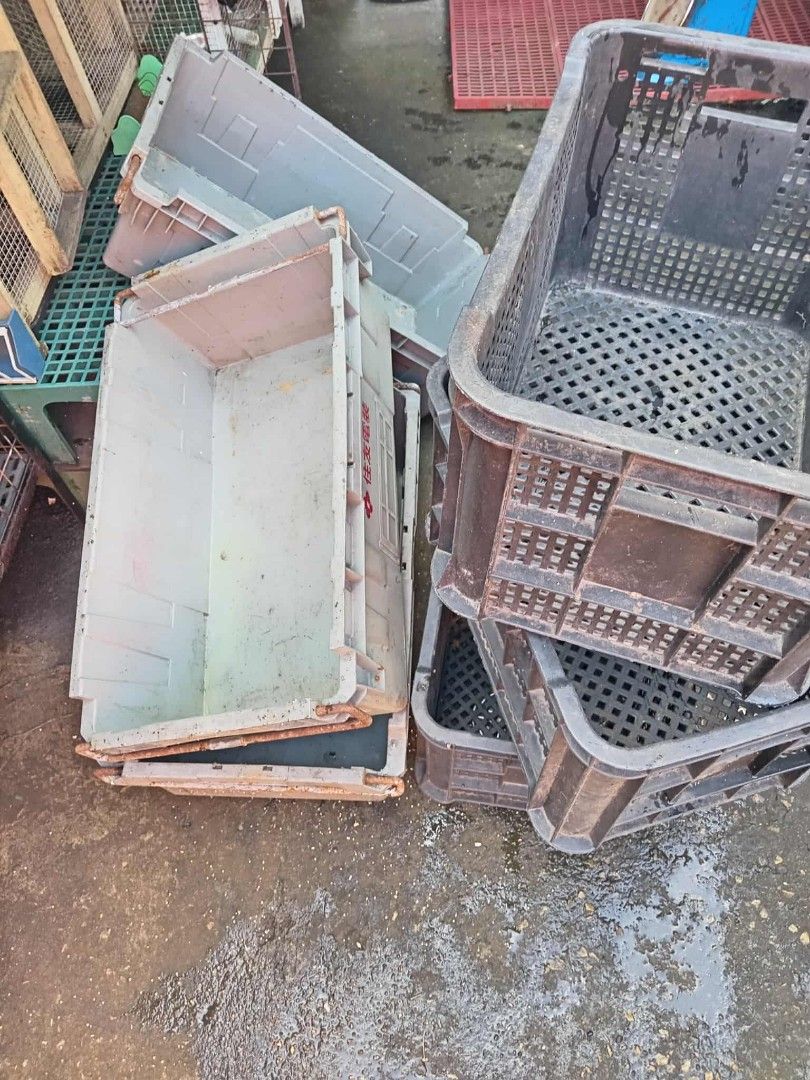 Plastic Storage Crates (6 pcs) Set (Category: Storage Boxes & Baskets) located in Quezon City. Submitted by northfacered (Listing ID 1406334052, Image 2). Description: Sold as set: - for fruits, vegetables, or meats - for bulk items - multipurpose .