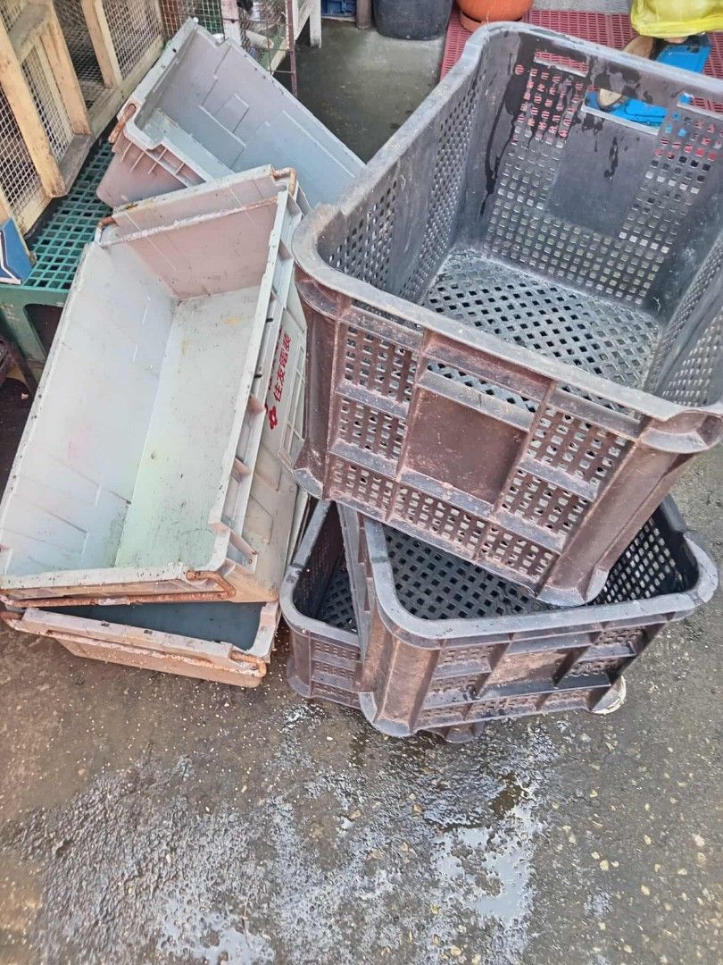 Plastic Storage Crates (6 pcs) Set (Category: Storage Boxes & Baskets) located in Quezon City. Submitted by northfacered (Listing ID 1406334052, Image 1). Description: Sold as set: - for fruits, vegetables, or meats - for bulk items - multipurpose .