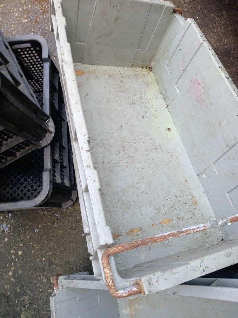 Plastic Storage Crates (6 pcs) Set (Category: Storage Boxes & Baskets) located in Quezon City. Submitted by northfacered (Listing ID 1406334052, Image 3). Description: Sold as set: - for fruits, vegetables, or meats - for bulk items - multipurpose .