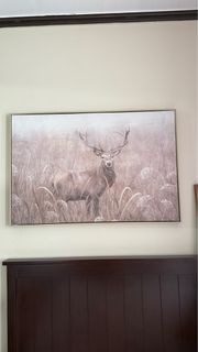 (Category: ) located in . Submitted by inapabs (Listing ID 1406509319, Image 1). Description: .