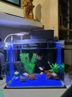 (Category: ) located in . Submitted by 0615woo (Listing ID 1406508613, Image 1). Description: .