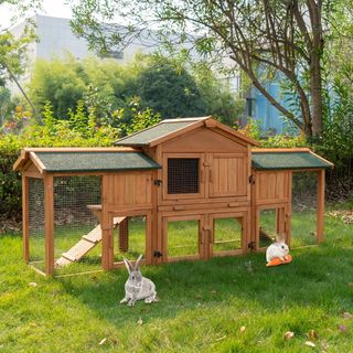 (Category: ) located in . Submitted by ecofriendly1 (Listing ID 1406613715, Image 1). Description: .