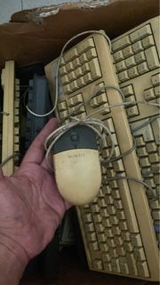 (Category: ) located in . Submitted by thrifttopia. (Listing ID 1406618734, Image 1). Description: .
