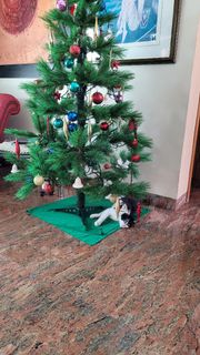 (Category: ) located in . Submitted by nnbos (Listing ID 1406716651, Image 1). Description: .