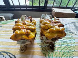 (Category: ) located in . Submitted by rayzzie (Listing ID 1406729137, Image 1). Description: .