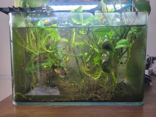 (Category: ) located in . Submitted by audioboom (Listing ID 1406856864, Image 1). Description: .