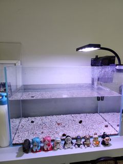 (Category: ) located in . Submitted by soulsimplescent (Listing ID 1406841255, Image 1). Description: .