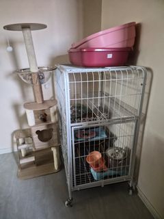 (Category: ) located in . Submitted by mangkukat (Listing ID 1406919136, Image 1). Description: .