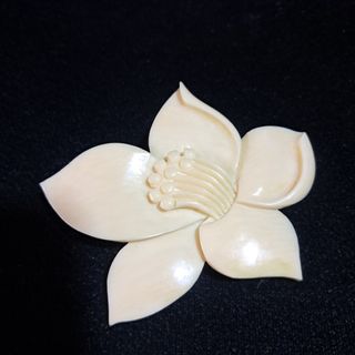 Jewelries & Accessories Collection item 3