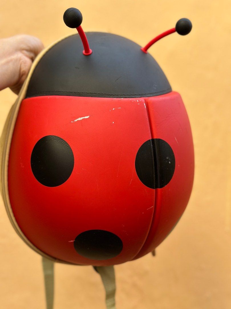 Supercute Ladybug Backpack (Category: Other Babies Going Out Needs) located in Batangas. Submitted by enyahsnivl56498 (Listing ID 1406881817, Image 3). Description: - Adorable ladybug design - Red body with black spots - Black head with antennae - Zippered closure - Adjustable straps - Interior: Mesh pocket and main compartment - Made in China.